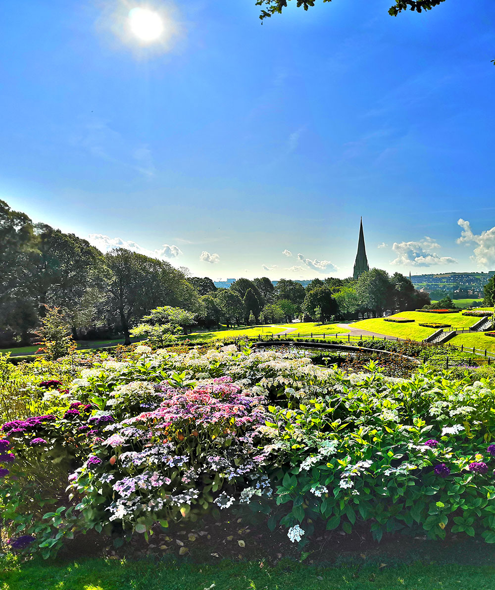 A photo of plants and flowers on a sunny day in brooke park with st Eugene's cathedral in the background